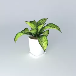 plant plant Free 3D model
