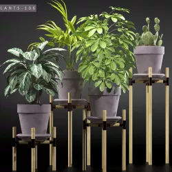 Plants 106 3D model