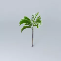 Purple King Palm Tree Free 3D model