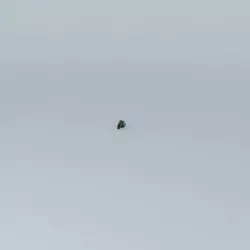 Rain Effect Free 3D model