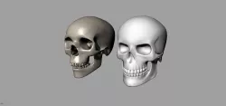 Skulls Free 3D model