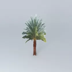 Sylvester Date Palm Tree Free 3D model