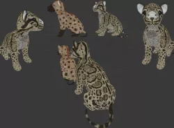 Teddy Big Cats Plus a Hyena extra Low-poly  3D model