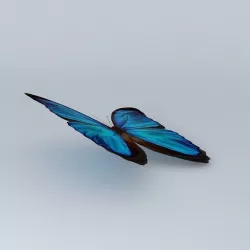 The Blue Mortho Butterfly {94Kb} Free 3D model