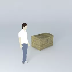 tray chest bau bandeja Free 3D model