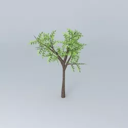 Tree Free 3D model