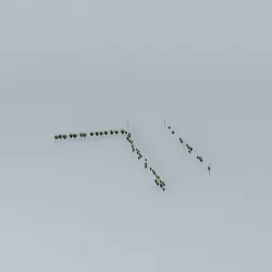 Trees on the Port Part 01 Free 3D model