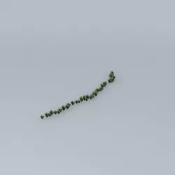 Trees on the Port Part 05 Free 3D model