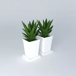 vaso vase planta plant potted plant Free 3D model