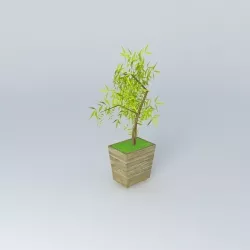 bambo Mosso Free 3D model