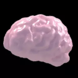 brain dynamic topo Free 3D model