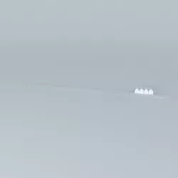 Busselton Jetty Free 3D model
