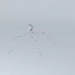 calamari squid Free 3D model
