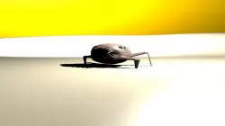 Disturbing Creature Free 3D model