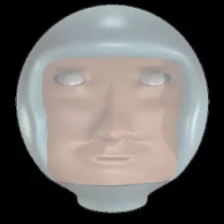 face Free 3D model