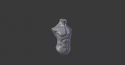 Human torso Free low-poly  3D model