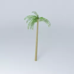Palm Tree Free 3D model