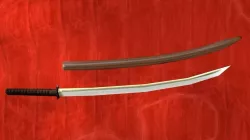 sabre Free 3D model