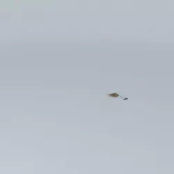 The Bad Pun Racer Free 3D model