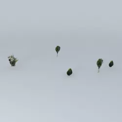 Tree Free 3D model