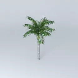 Tree Palm Free 3D model