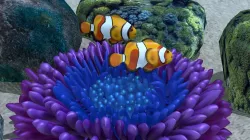 Under the sea animation Free 3D model