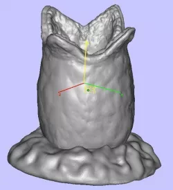 Alien egg Free 3D model