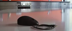 Computer mouse Free 3D model