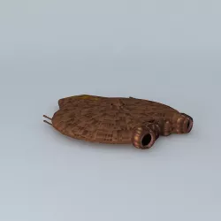 Ebon Spider Free 3D model