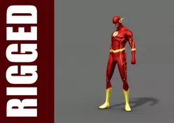 Flash Rig Free 3D model