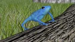 Forrest Frog Free 3D model