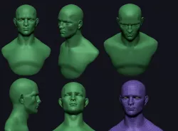 Free Male Bust - ZTL OBJ Free 3D model
