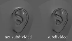 Human Ear - lowpoly 3d model Free low-poly  3D model