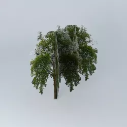 jardin trees of mariza Free 3D model