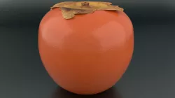 Kaki Fruit Free low-poly  3D model