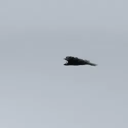 Modern Lighthouse Free 3D model