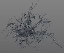 Old tree Free 3D model