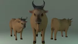 Ox Model Free low-poly  3D model