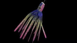 Salt Water Fishing Lure Free low-poly  3D model