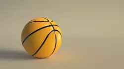 SPORT---BASKET---Ball Free 3D model