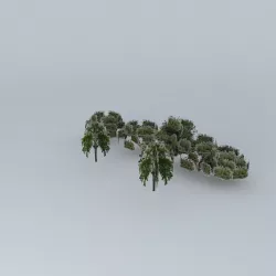 Street trees Minas Gerais Free 3D model