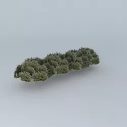 Street trees taquari Free 3D model