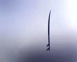 Surfboard Free 3D model
