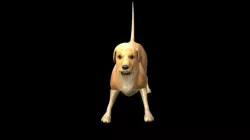 Textured dog Free 3D model