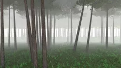  The Forest Free 3D model