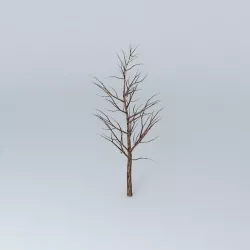 Tree Free 3D model