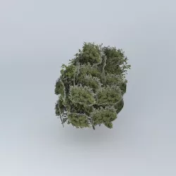 Tree giant model Free 3D model
