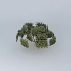 Tree large model Free 3D model