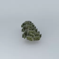 Tree parking Free 3D model