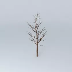 Tree small model Free 3D model